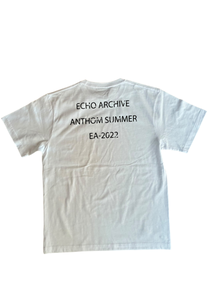 コーデゥラナイロン  掠れバックロゴTシャツ/A40584